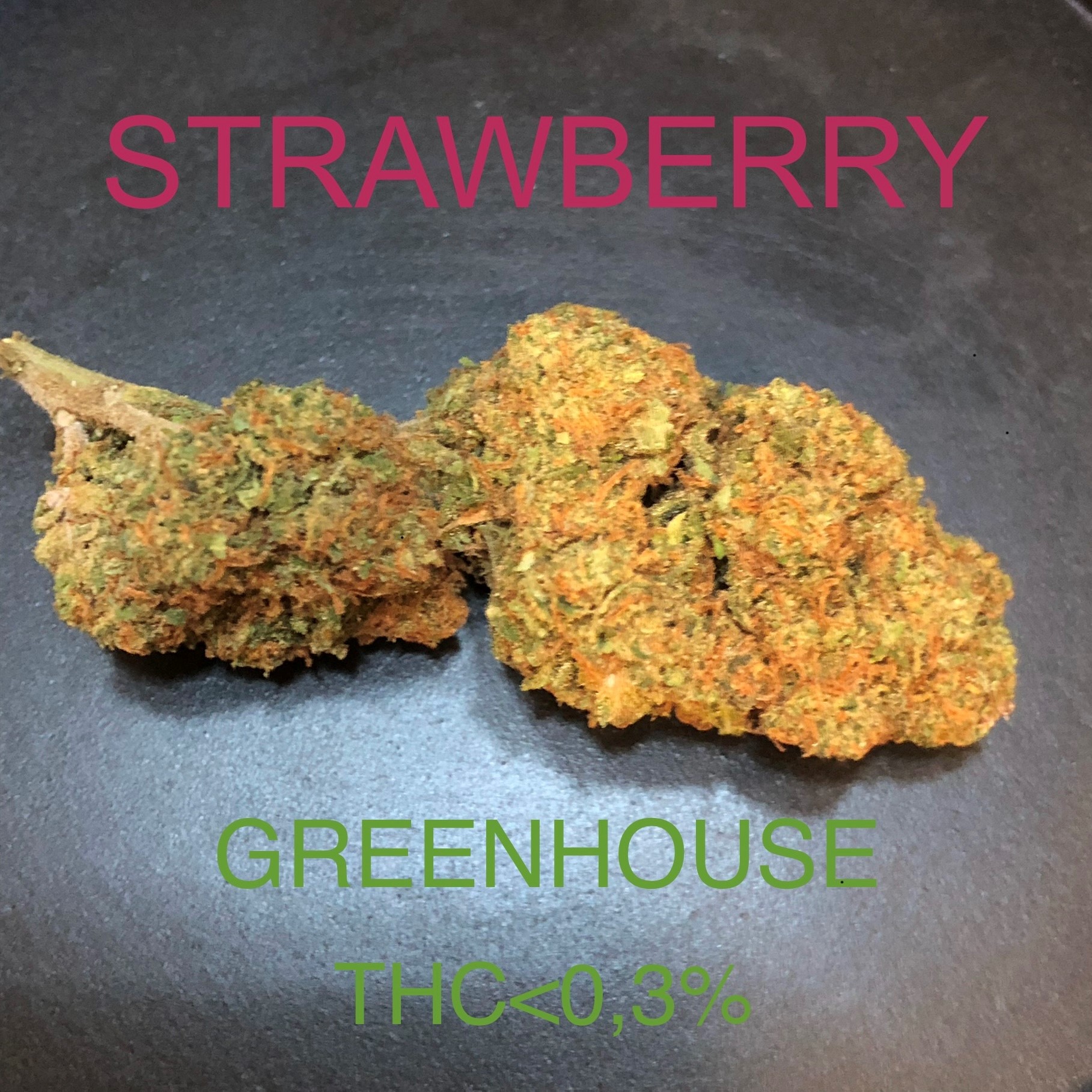 PACK DÉCOUVERTE CHEAP – Image 4