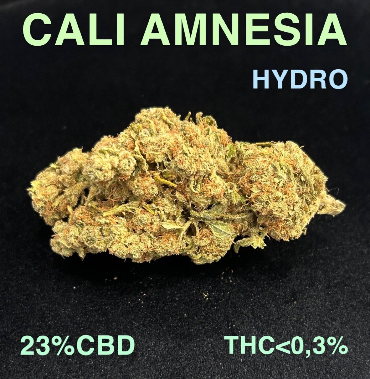 CALI AMNESIA HYDRO
