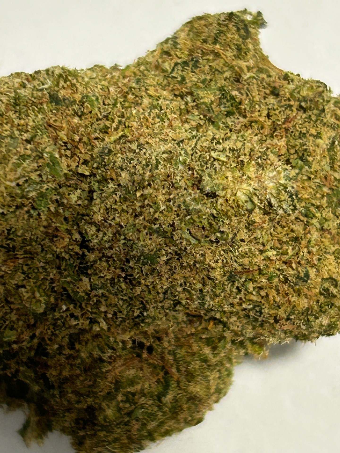 CALI MAC JACK HYDRO – Image 2