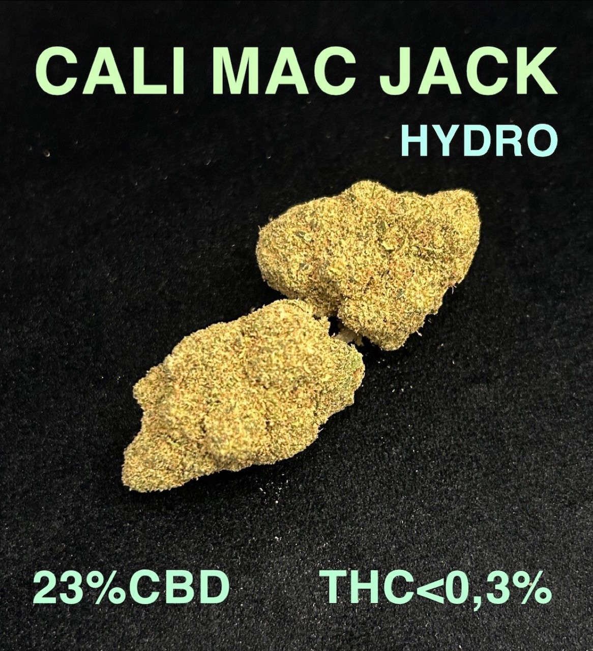 CALI MAC JACK HYDRO