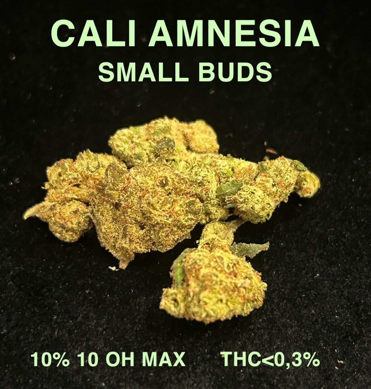 CALI AMNESIA SMALL BUDS 10% 10 OH MAX