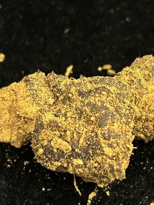 MAXI ROYAL CRD – Image 2