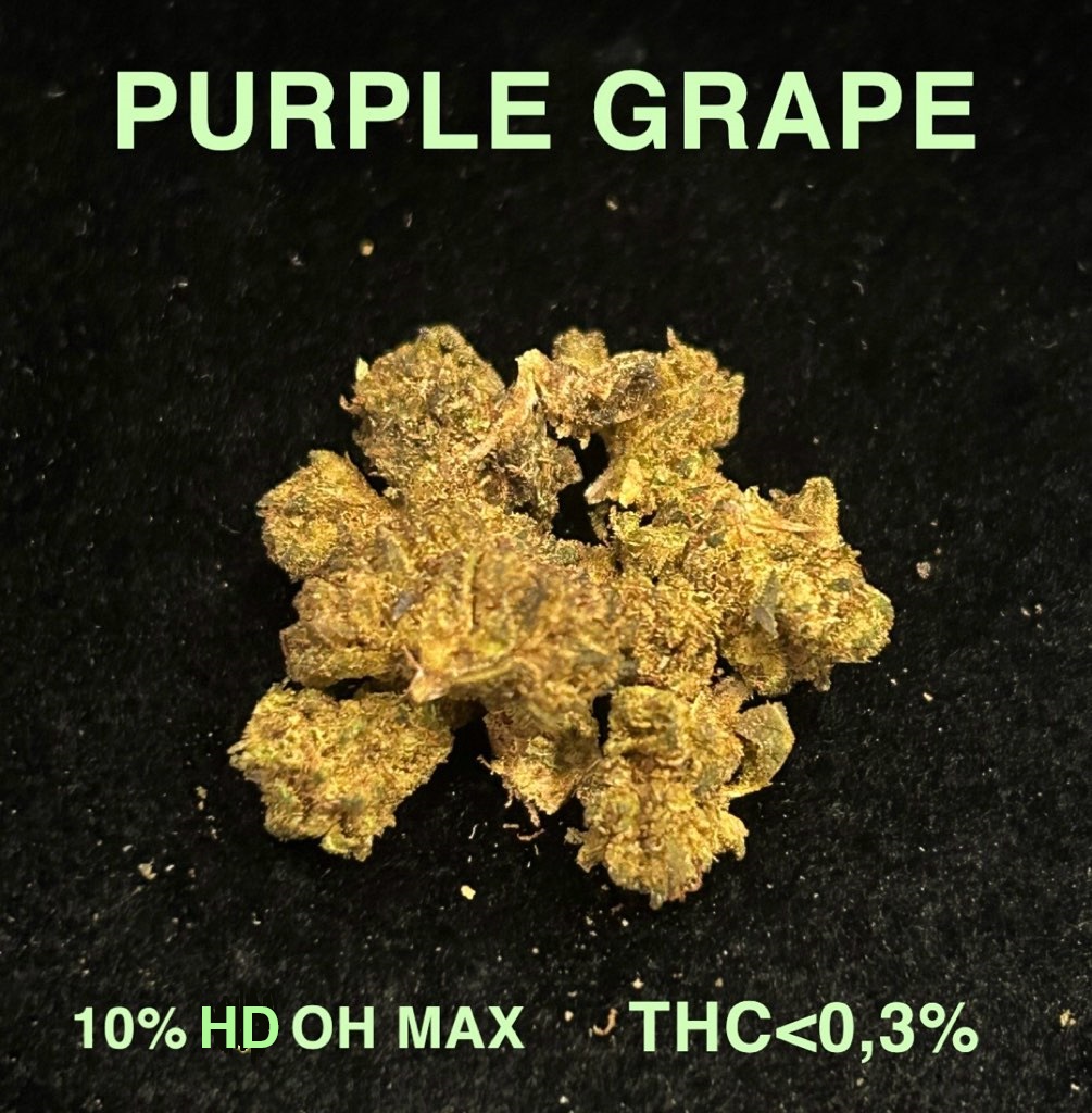 PURPLE GRAPE HD OH MAX