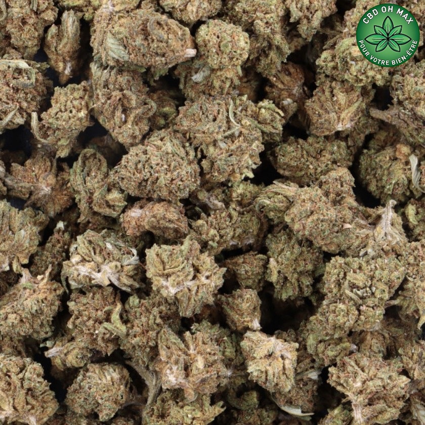 FANTA HAZE SMALL BUDS