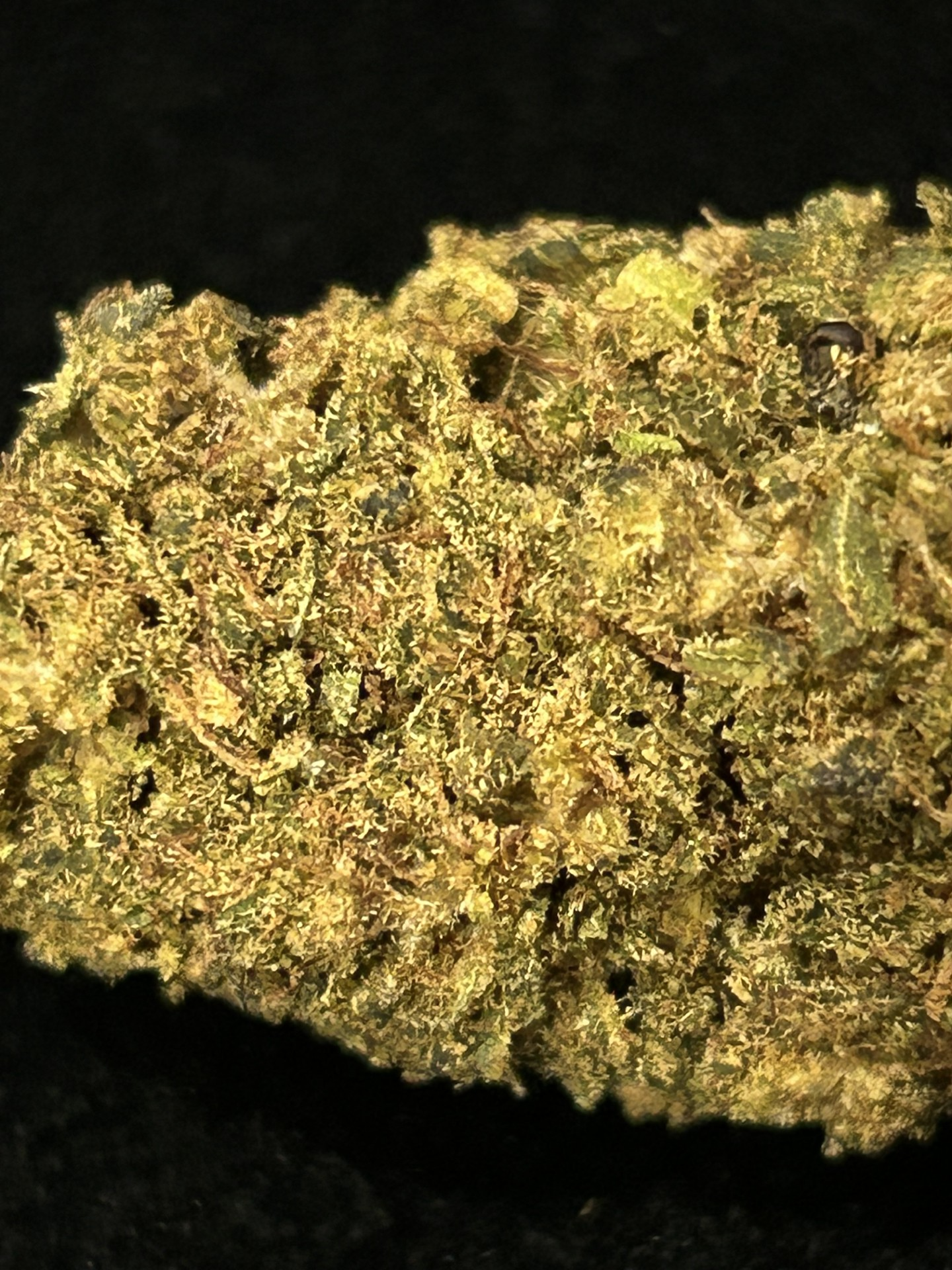 CRITICAL HAZE NL-1 – Image 2