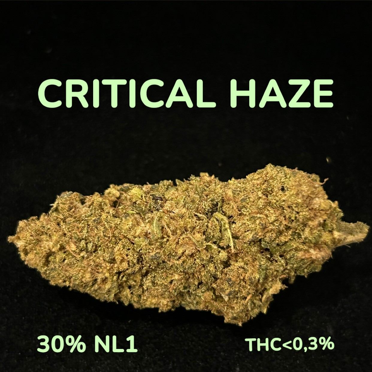 CRITICAL HAZE NL-1