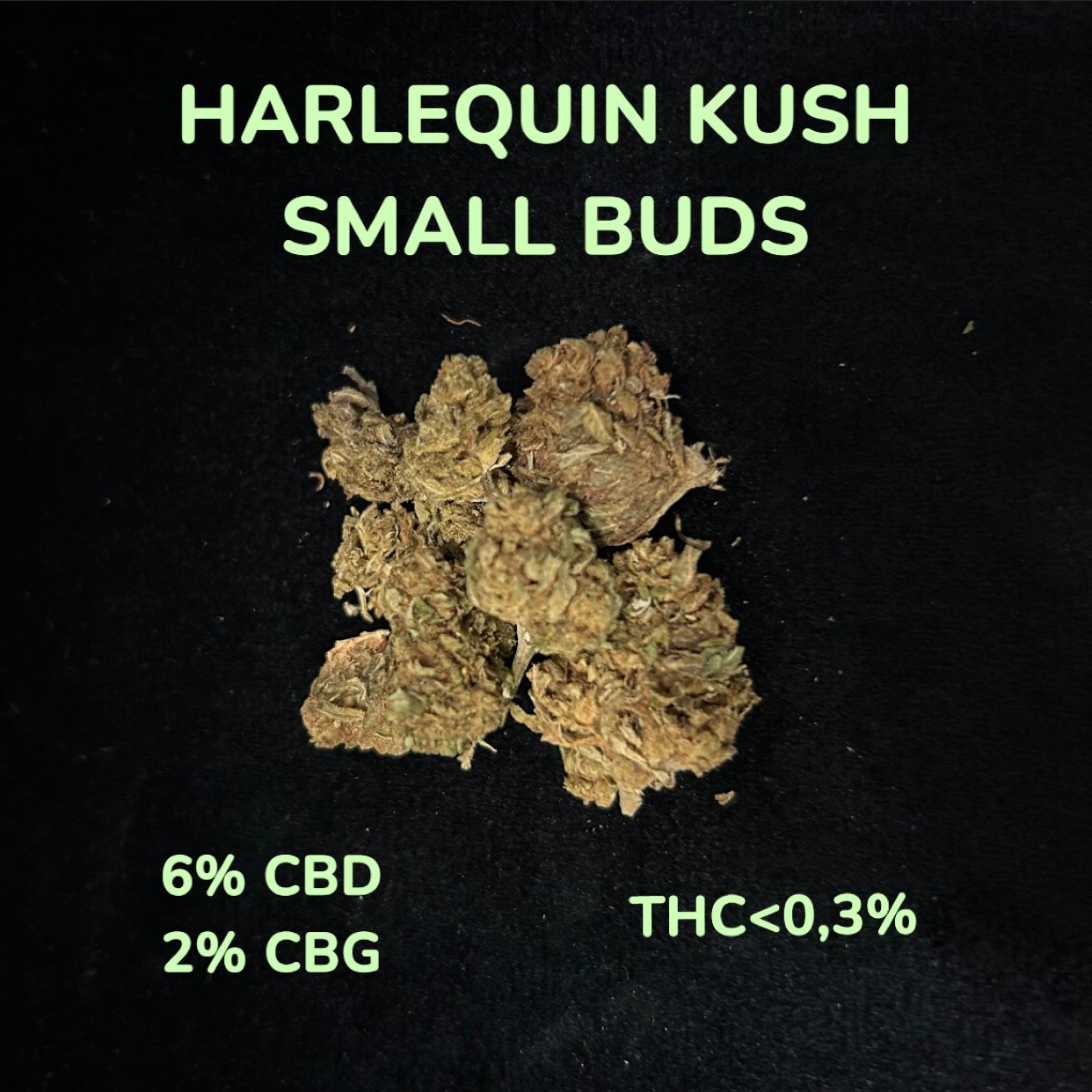 HARLEQUIN KUSH SMALL BUDS