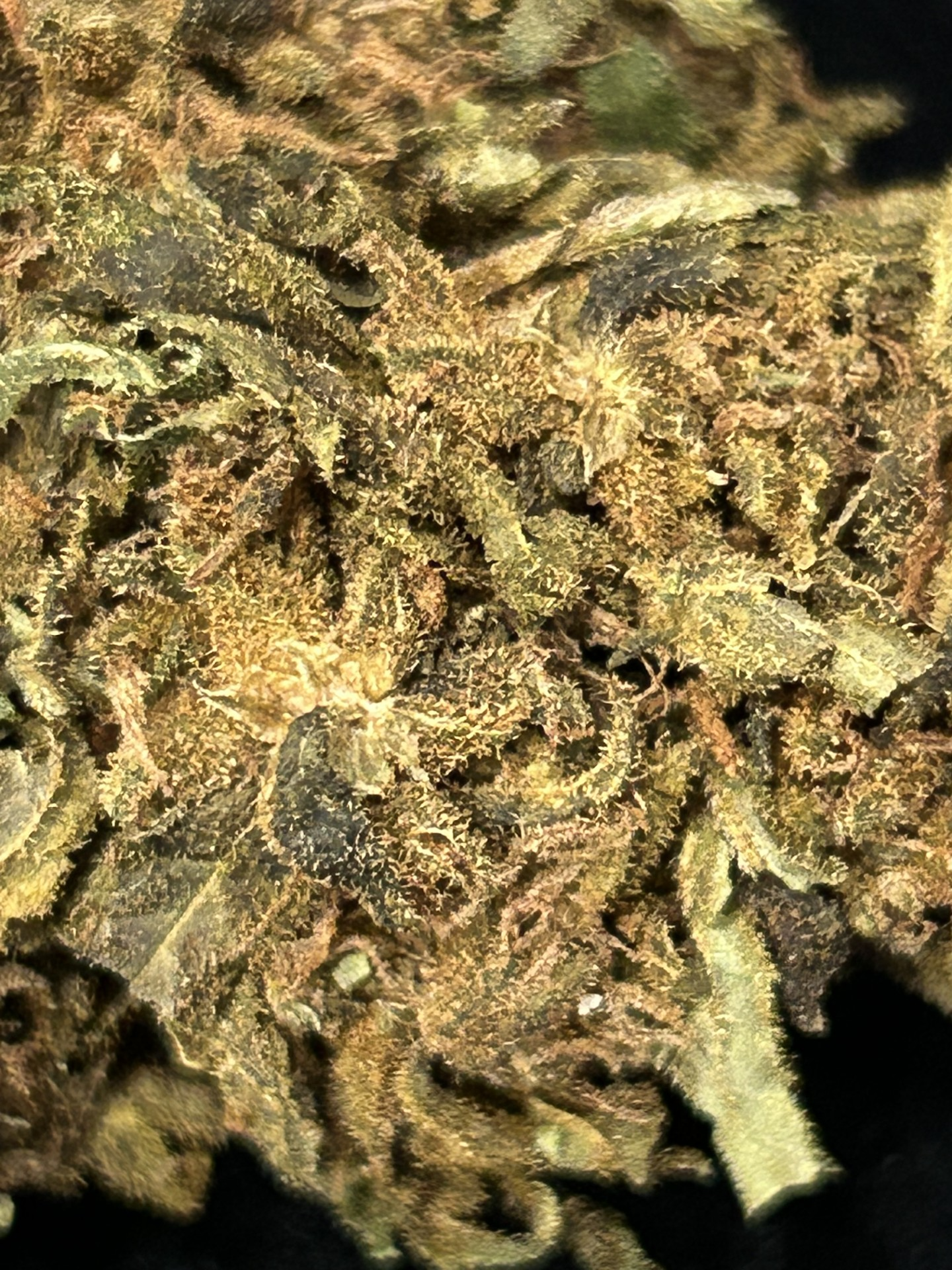 PINEAPPLE KUSH SMALL BUDS – Image 2