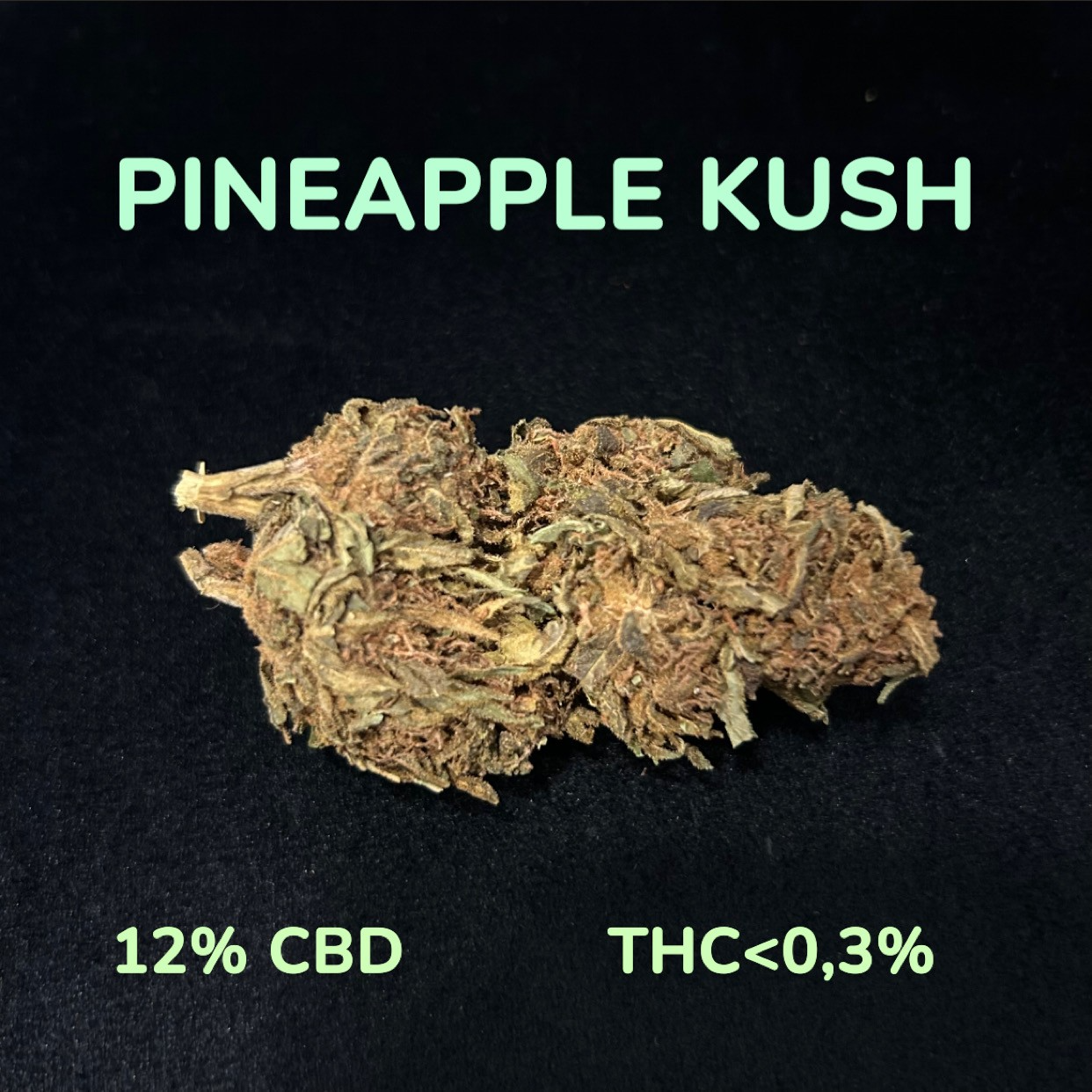 PINEAPPLE KUSH SMALL BUDS