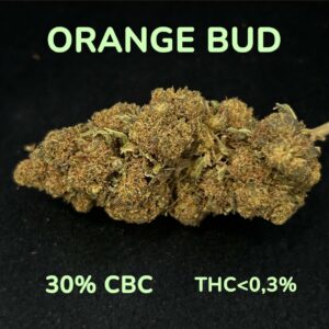 ORANGE BUD CBC