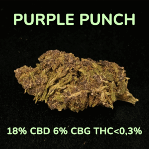 PURPLE PUNCH
