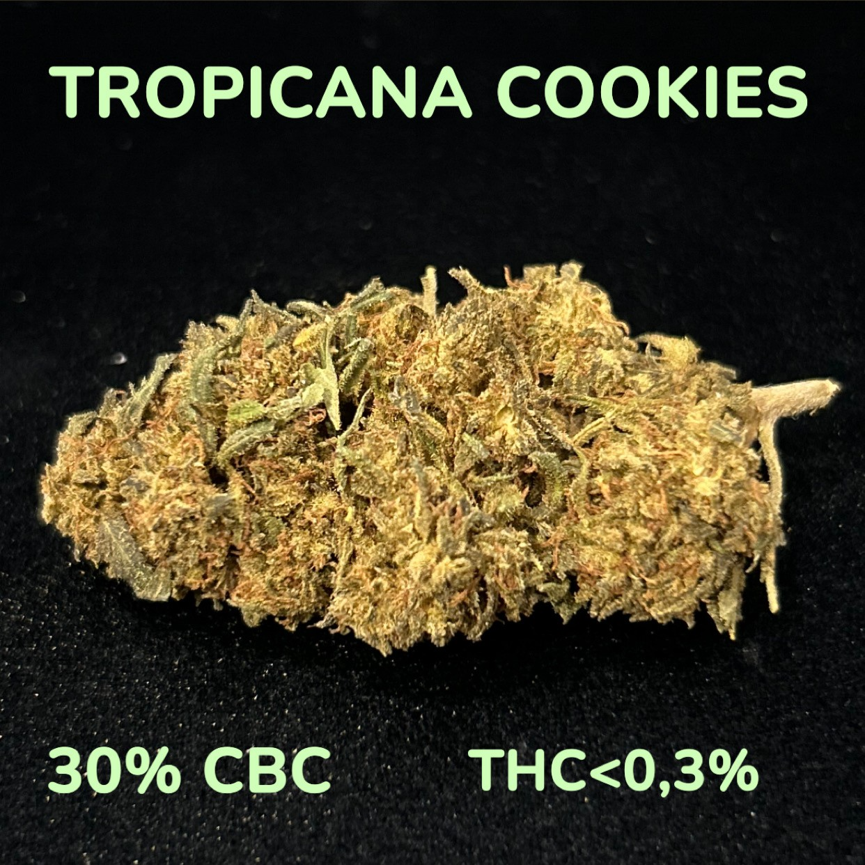 TROPICANA COOKIES CBC