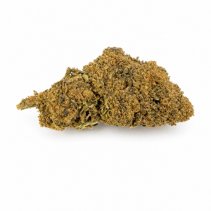 CALI BANANA HYDRO