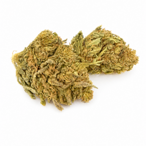 NYC DIESEL