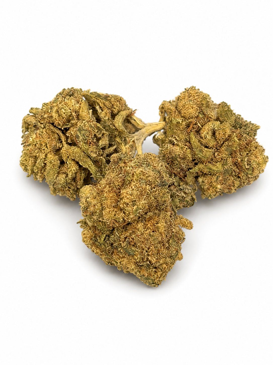 TUTTI FRUITTI SMALL BUDS