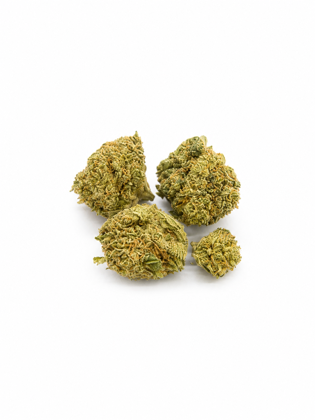 GIRL SCOUT COOKIES SMALL BUDS HYDRO