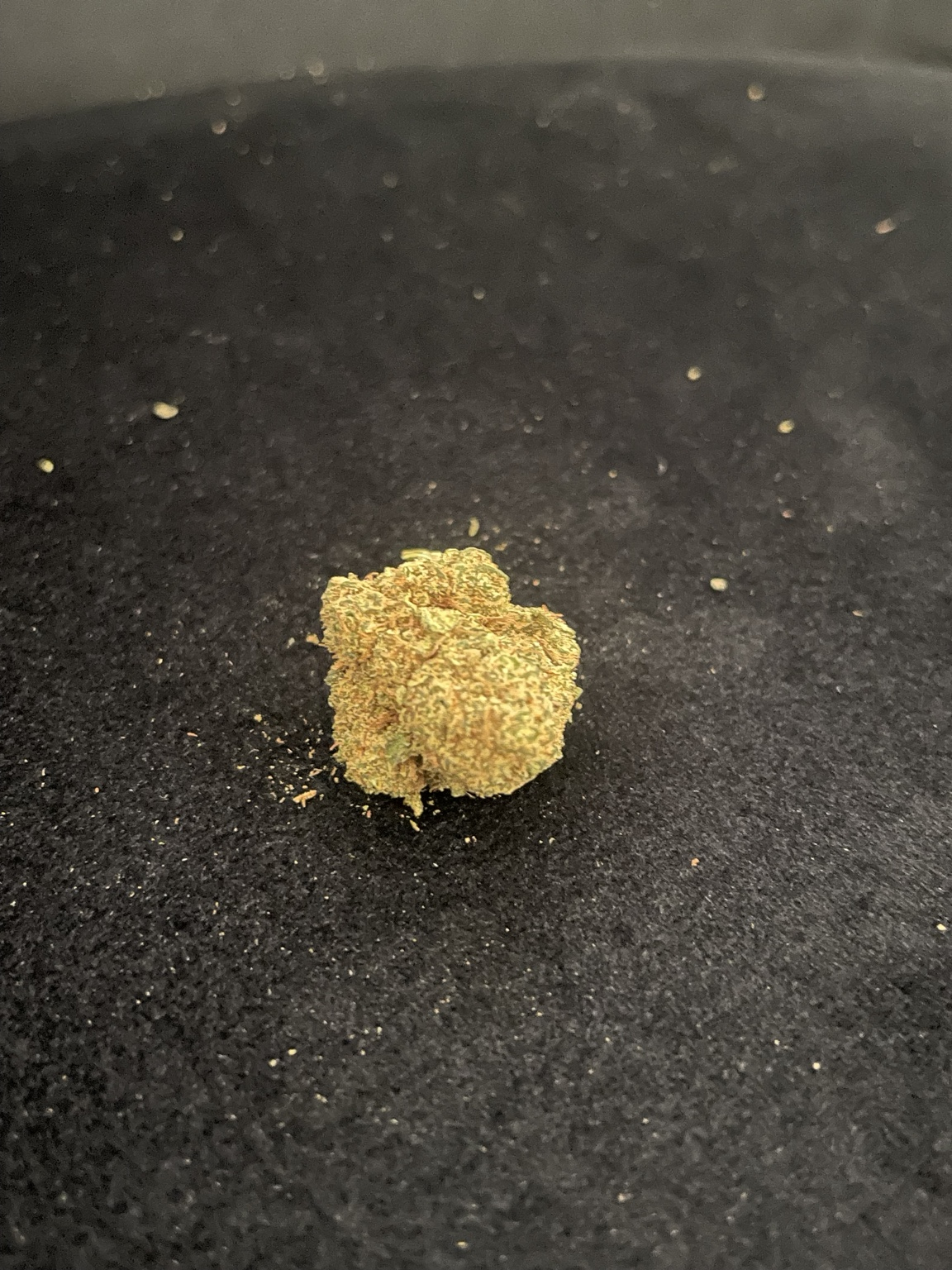 GIRL SCOUT COOKIES HYDRO