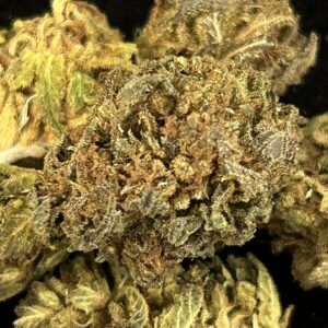 ROYAL OG SMALL BUDS