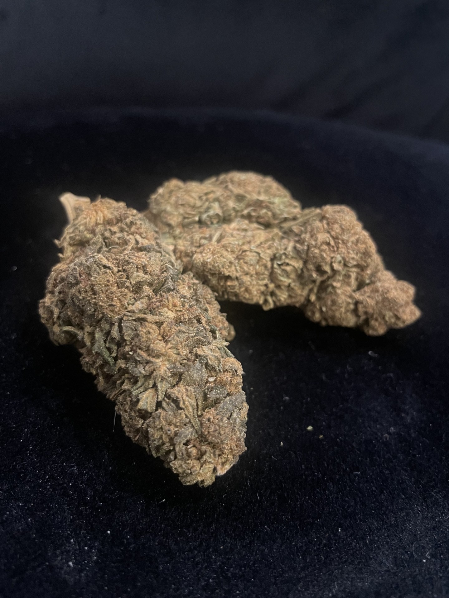 BLACK GELATO 60% 10 OH MAX – Image 2