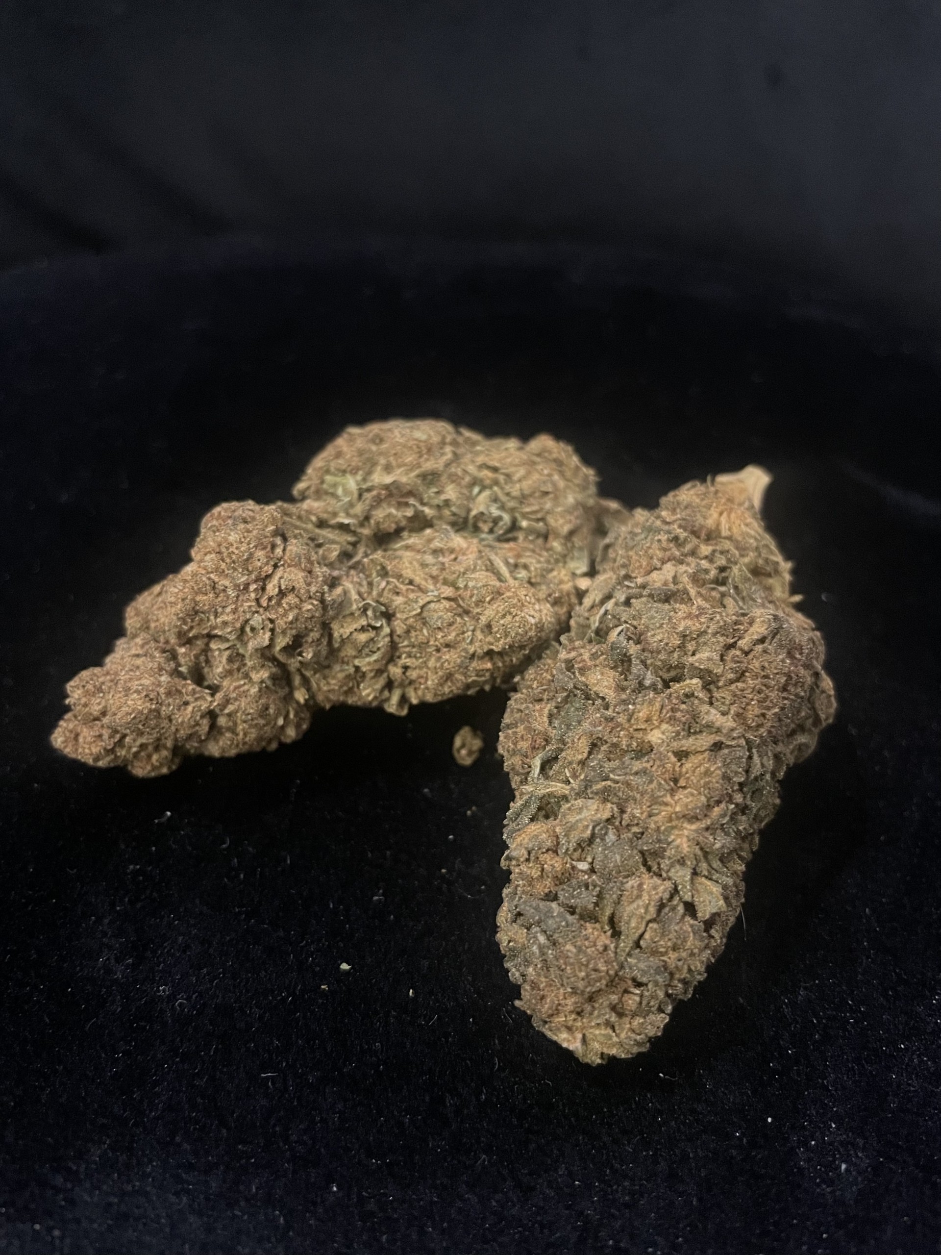 BLACK GELATO 60% 10 OH MAX