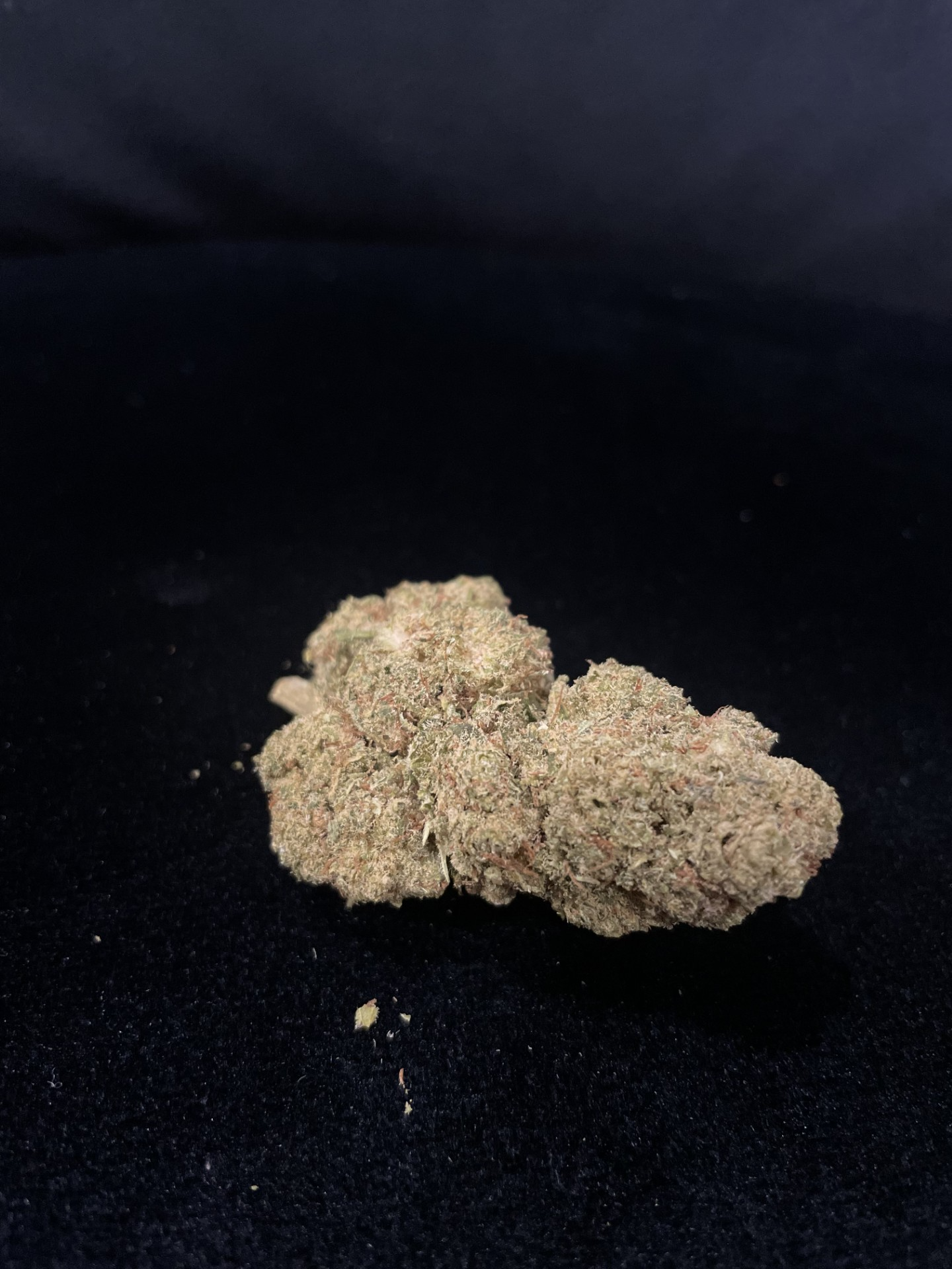 PAPAYA PUNCH HYDRO